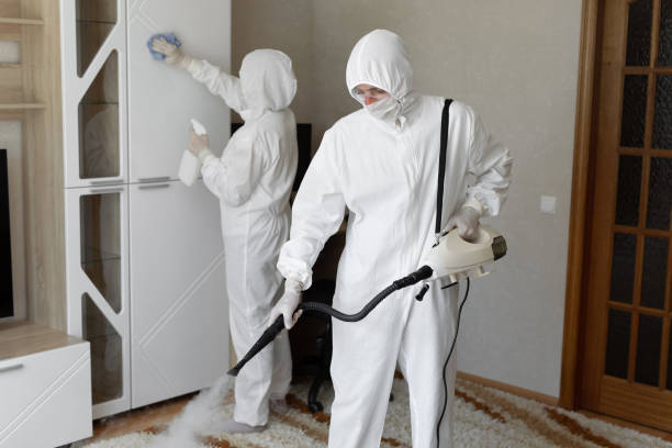 Best Industrial Mold Remediation in Anderson Island, WA