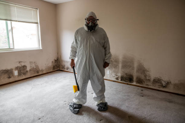 Anderson Island, WA Mold Remediation Company